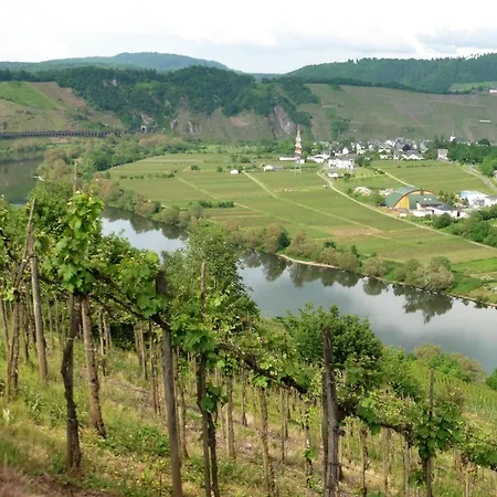 Waldsicht Und Dorfsicht Apartment Winkel