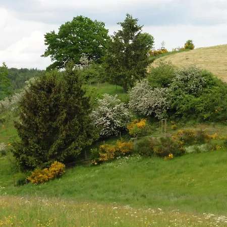 Waldsicht Und Dorfsicht Apartment