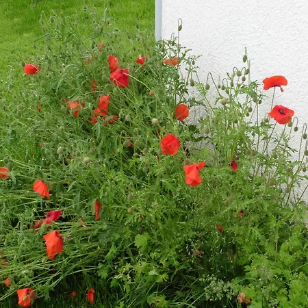 Waldsicht Und Dorfsicht Lejlighed Winkel