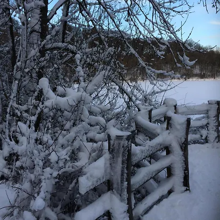 公寓 Waldsicht Und Dorfsicht Winkel