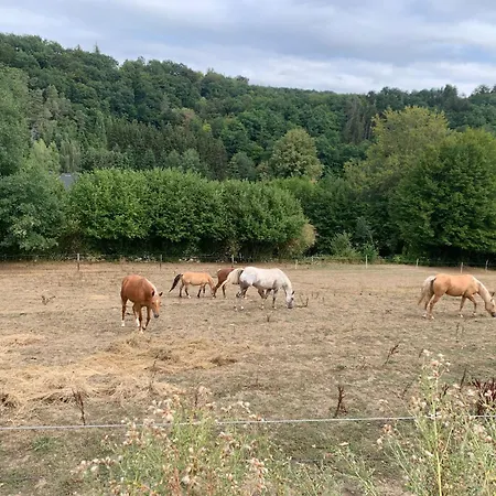 Waldsicht Und Dorfsicht * Winkel
