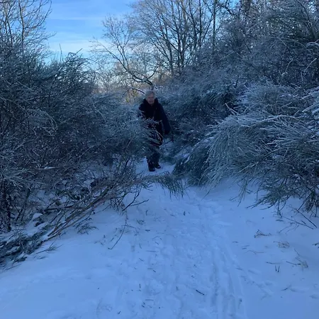 Waldsicht Und Dorfsicht Apartment Winkel