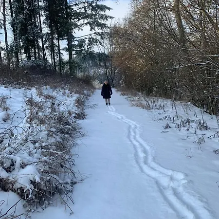 公寓 Waldsicht Und Dorfsicht Winkel