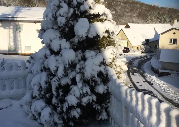 Daire Waldsicht Und Dorfsicht