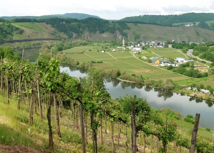 Waldsicht Und Dorfsicht Daire Winkel