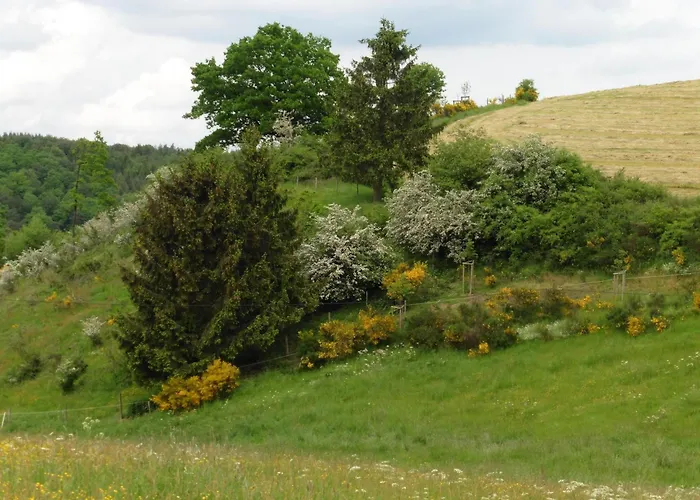 Waldsicht Und Dorfsicht Daire