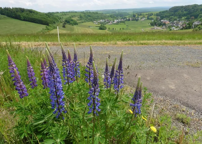 Daire Waldsicht Und Dorfsicht Winkel