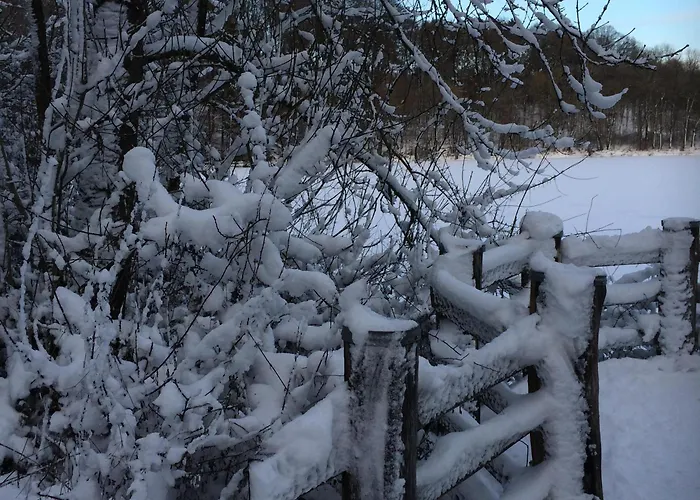 Daire Waldsicht Und Dorfsicht Winkel