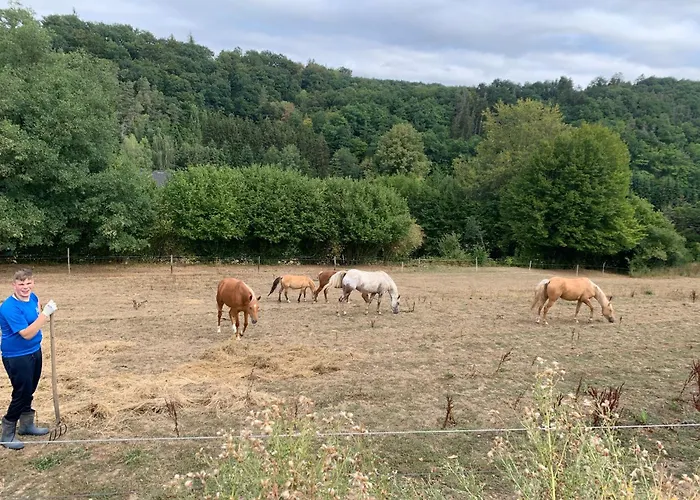 Waldsicht Und Dorfsicht * Winkel