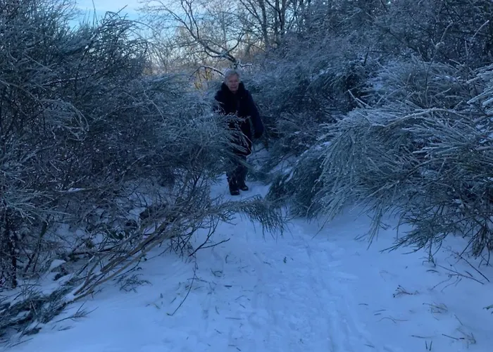 Waldsicht Und Dorfsicht Apartment Winkel