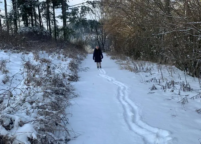 Daire Waldsicht Und Dorfsicht Winkel